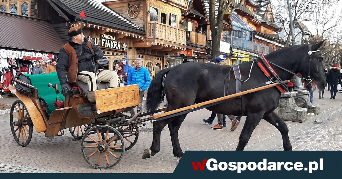 Górale nie chcą elektrycznych bryczek. „To hipokryzja”