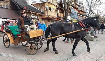 Górale nie chcą elektrycznych bryczek. „To hipokryzja”