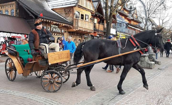 Konny zaprzęg dla turystów na ulicach Zakopanego / autor: Fratria / MK