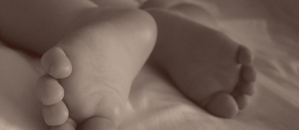 fot. FreeImages