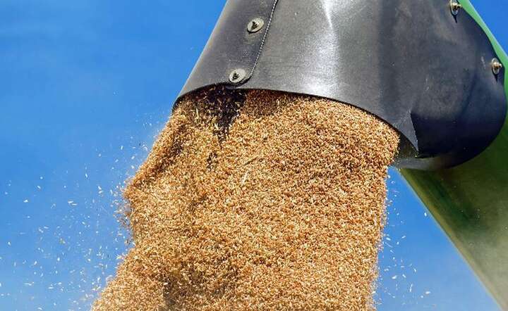 Dostęp do surowców to jeden z najważniejszych czynników kosztotwórczych. / autor: Pixabay