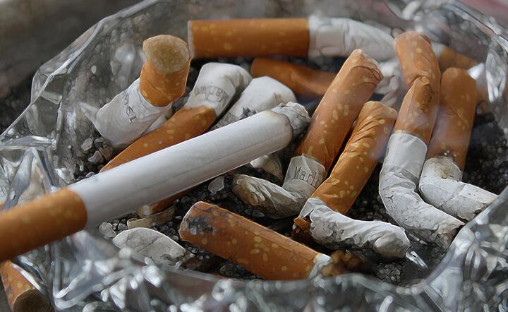 wyroby tytoniowe / autor: pixabay