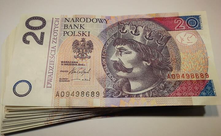 Co się dzieje z polską walutą? Kursy walut