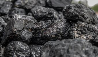 Ile węgla wyprodukowały kopalnie w lutym? Raport ARP