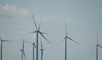 Enea też chce pozyskać energię z wiatru