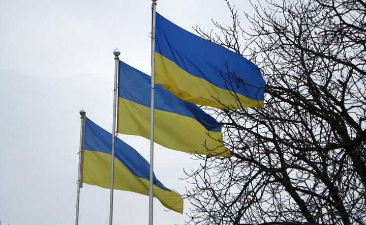 Flaga Ukrainy / autor: fot. Fratria