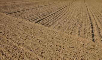 JLL: Deweloperzy są gotowi zapłacić miliardy za grunty