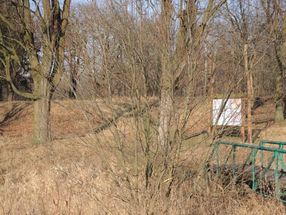 Fot. wejście na Wzgórze Zamkowe w Sieradzu. / M. Świerczyński