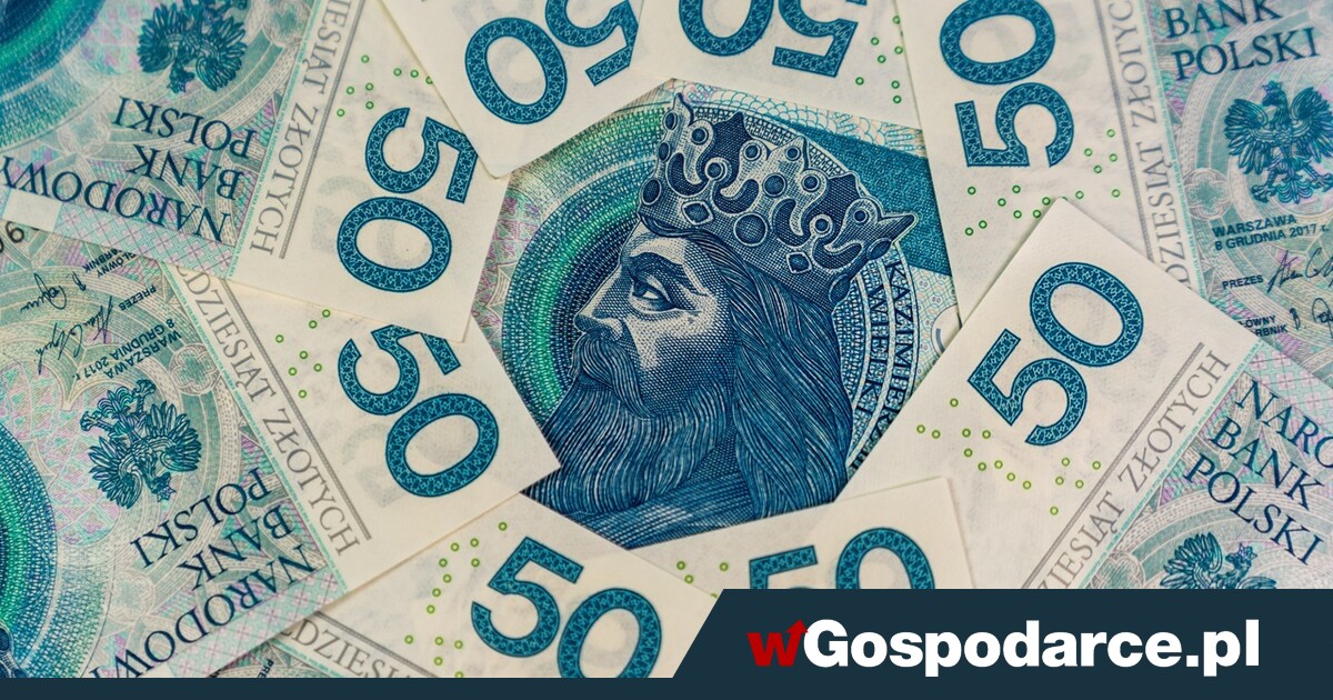 Członek RPP: dłuższa przerwa w obniżkach stóp