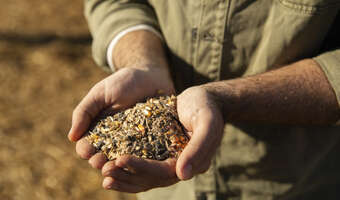 Rolnicy mają dość prawnej huśtawki