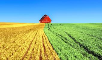 W 2050 będzie nas 10 miliardów. Zabraknie jedzenia