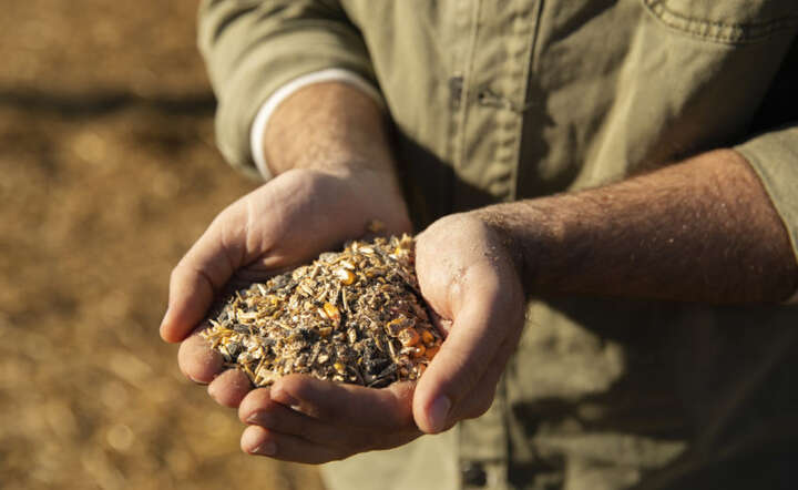 Bez realnego wsparcia ze strony państwa wiele gospodarstw rolnyvh upadnie. / autor: Freepik