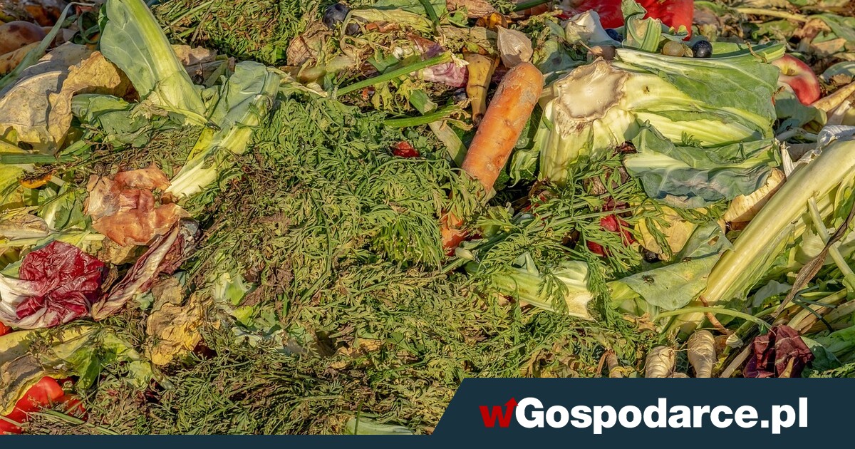 Walka z marnowaniem żywności na razie przegrana