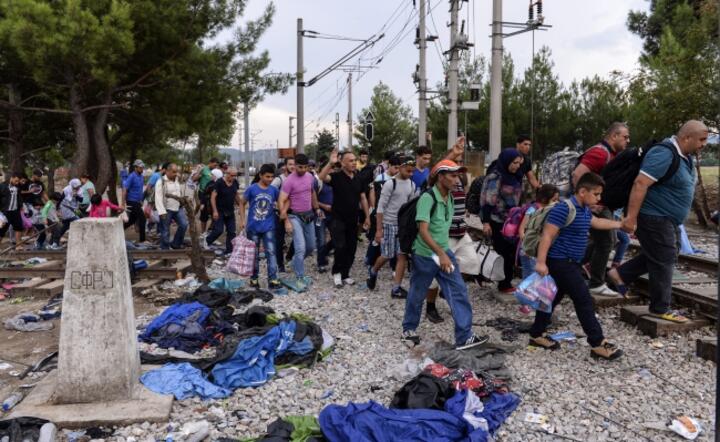 Imigranci z Syrii w drodze ku granicy węgierskiej fot. PAP/EPA/GEORGI LICOVSKI 