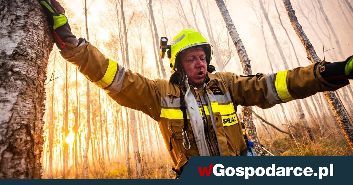 Strażacy walczą! Czy ogień pochłonie cud przyrody?