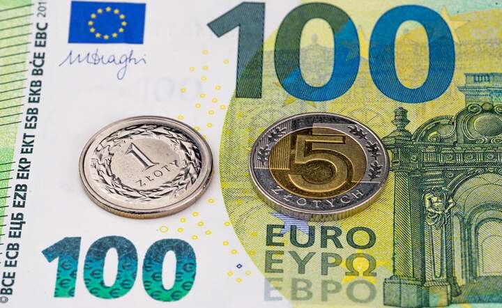 Euro przypomina mechanizm wysysania pieniędzy z biedniejszych krajów przez bogatsze / autor: Fratria / AS