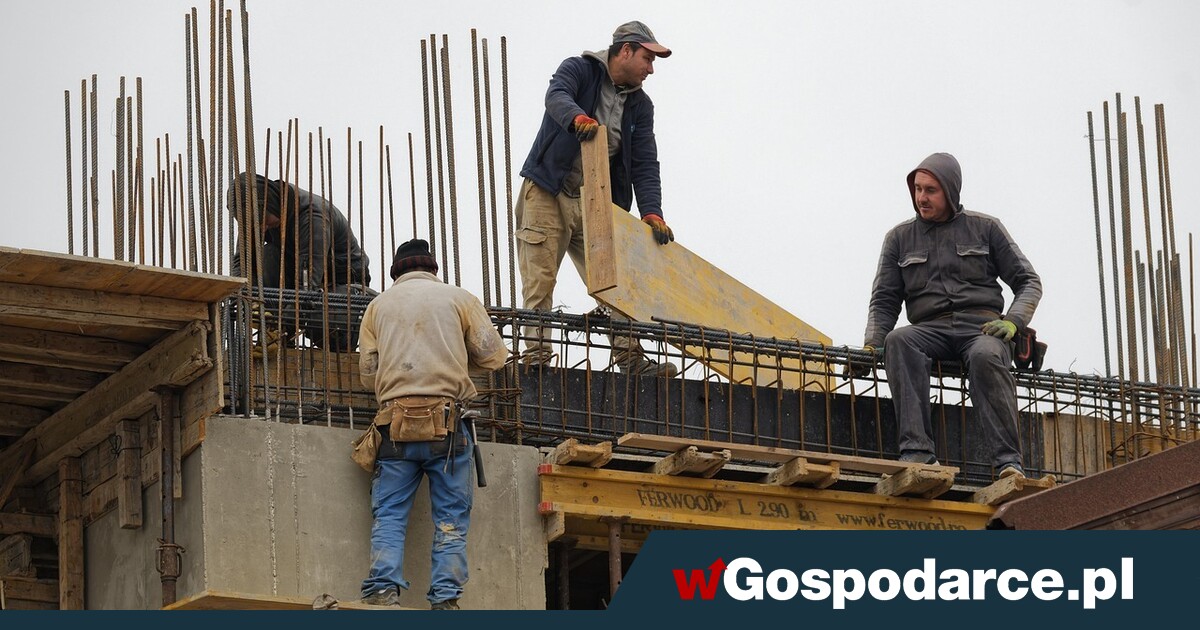 Te liczby szokują! Tyle cudzoziemców pracuje w Polsce