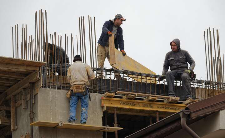 Dane GUS - Zatrudnieni / autor: Pixabay