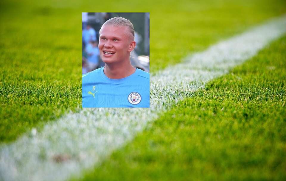 autor: pixabay.com/Wikimedia Commons/Hameltion/CC BY-SA 4.0