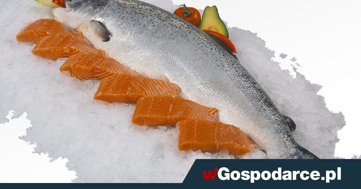 Jakie gatunki ryb wybierać, a jakich lepiej unikać?