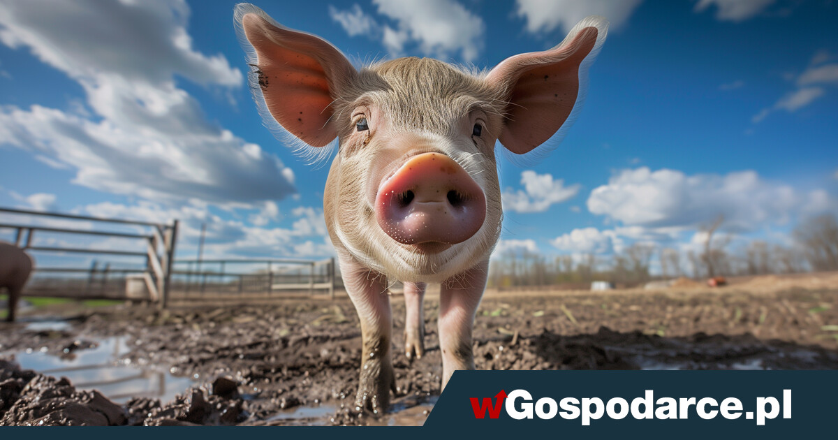 Szokujący wyrok! Więzienie za odór