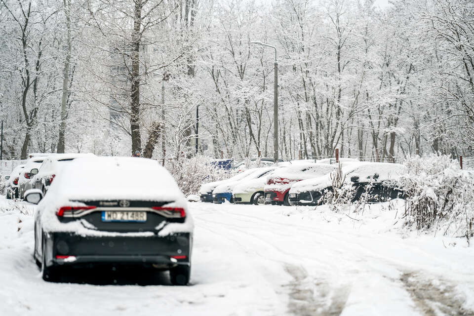 Opady śniegu zapowiadane na południu kraju / autor: Fratria