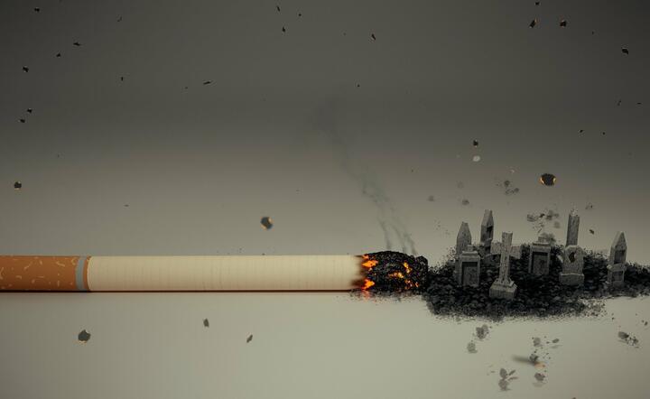 papierosy / autor: Pixabay
