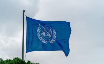 ONZ wzywa do pokoju na Ukrainie!