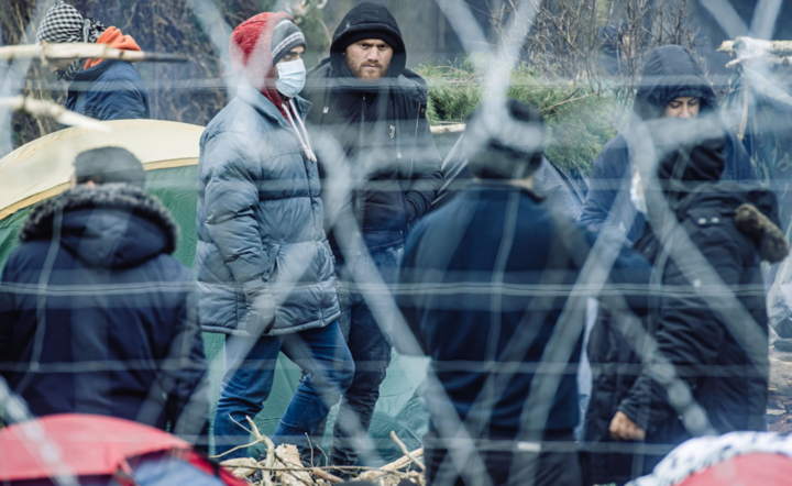 Migranci przy granicy / autor: PAP/Irek Dorożański/Dowództwo Wojsk Obrony Terytorialnej