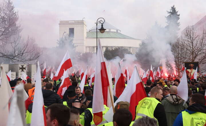 Demonstranci dotarli przed Sejm / autor: PAP/Leszek Szymański 