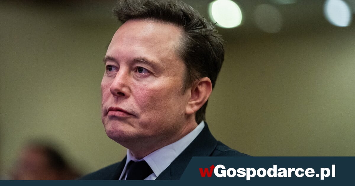 Elon Musk is America&#39;s most powerful private individual