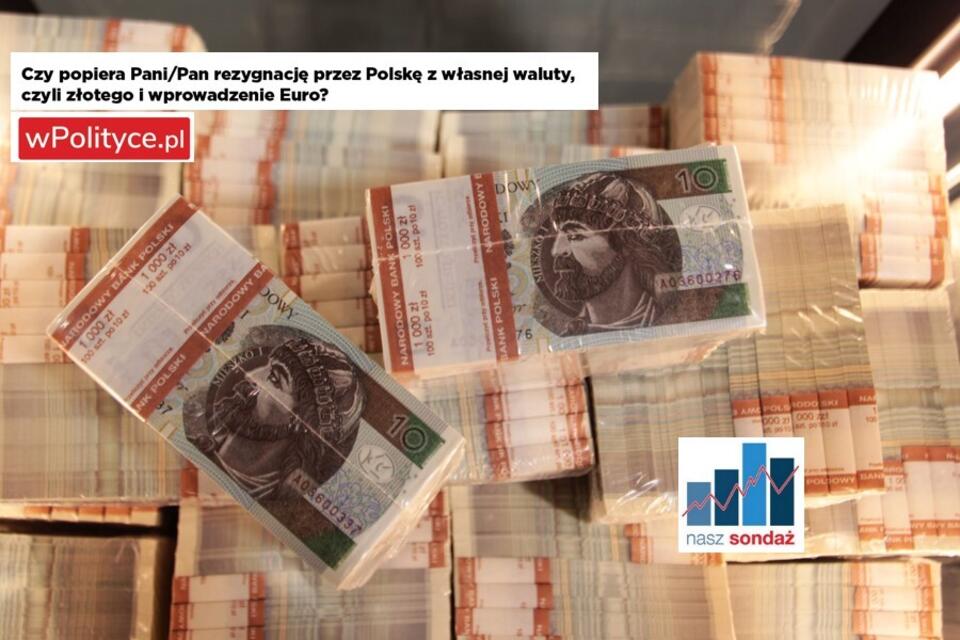 NASZ SONDAŻ. Polacy twardo bronią narodowej waluty