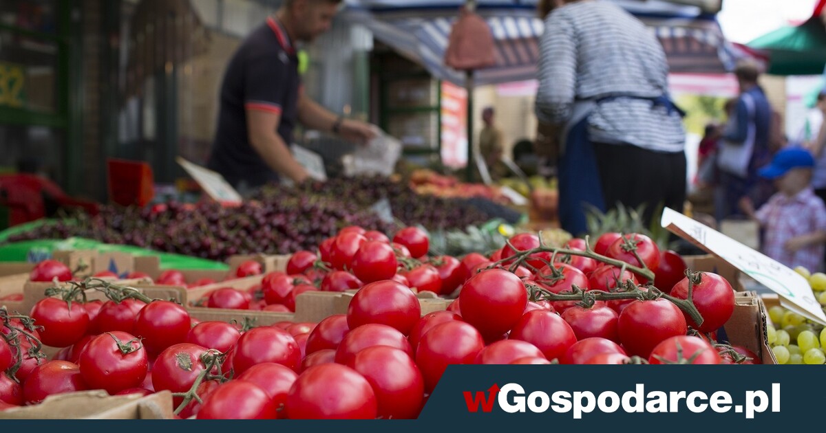 Środek sezonu, a tu brakuje pomidorów gruntowych...