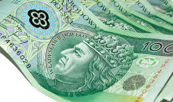 Złoty mocniejszy, ale skala wzrostów jest ograniczona