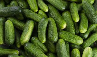 Zimno w Hiszpanii, drogie ogórki w Polsce