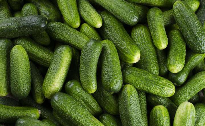 Na skutek chłodów na południu Europy ceny ogórków są przed świętami bardzo wysokie  / autor: Pixabay
