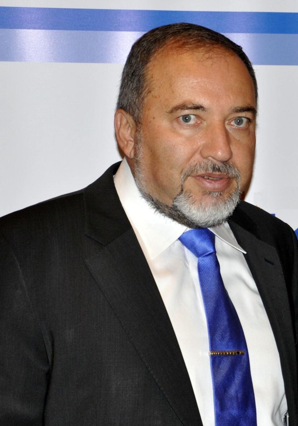 Fot. Wikipedia / Michael Thaidigsmann