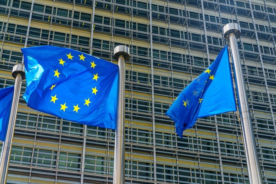 Flagi UE / autor: Fratria