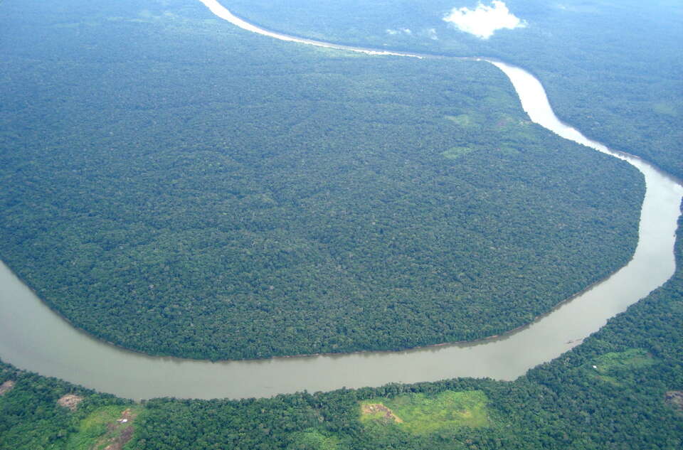 Ważna decyzja firm sojowych! Chodzi o umowę UE-Mercosur?