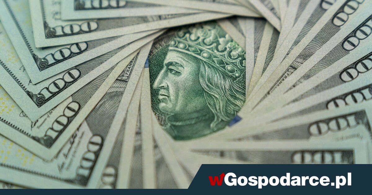 Złoty mocniejszy. Zdecydowały słowa prezesa NBP