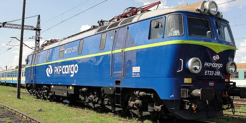 Fot. wolinlbn/CC/GFDL/Wikimedia Commons