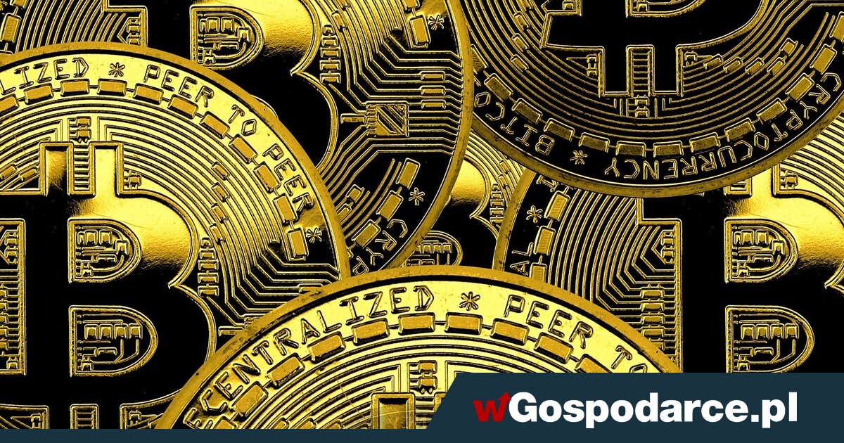 Euforia na kryptowalutach, ostrożność na indeksach