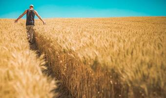 Ukraina: Ziemia rolna wraca do rolników