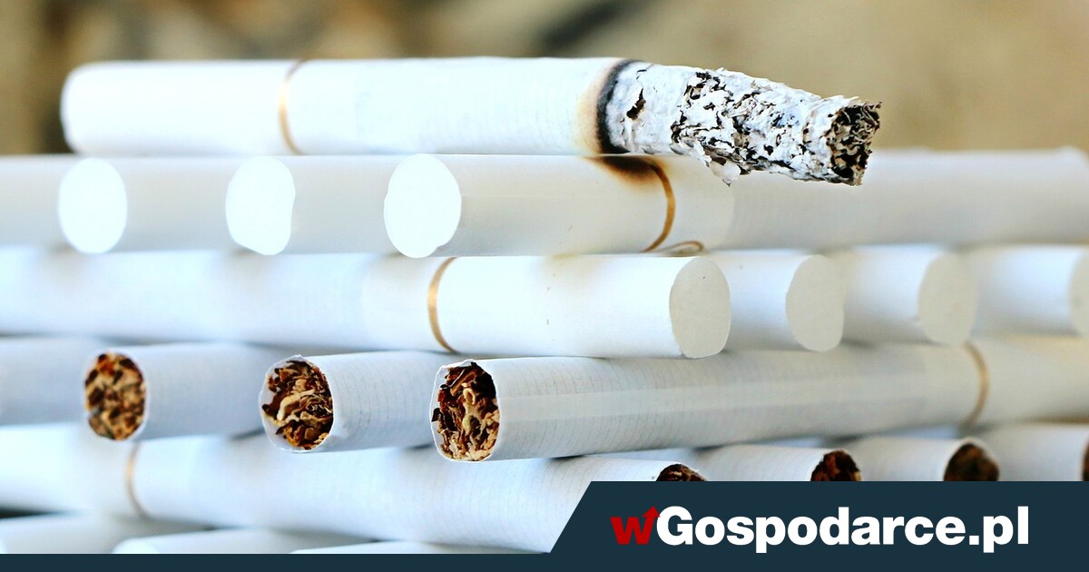 Puchnie czarny rynek papierosów