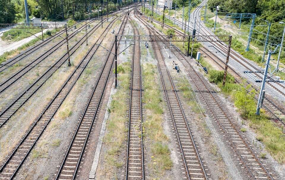 zdjęcie ilustracyjne / autor: Fratria