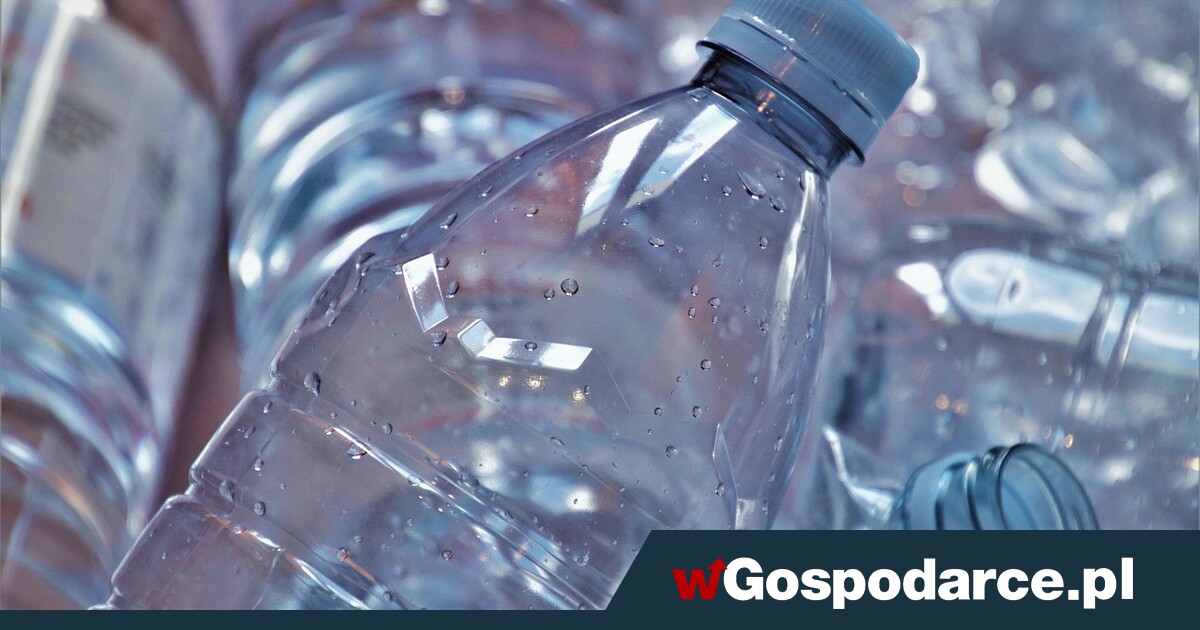 Porażka! System kaucyjny jest, ale mało kto go widział