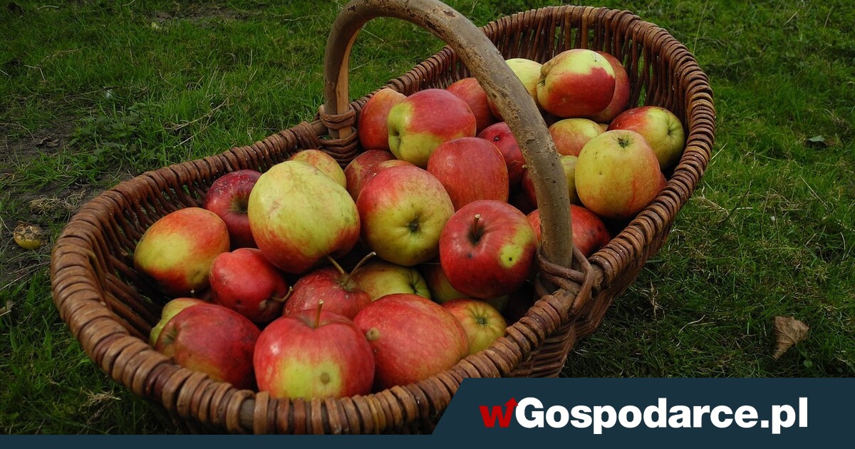 Samozbiory jednak bez podatku?