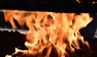 Dystrybutorzy paliwa LOO nie chcą odpowiadać za klientów