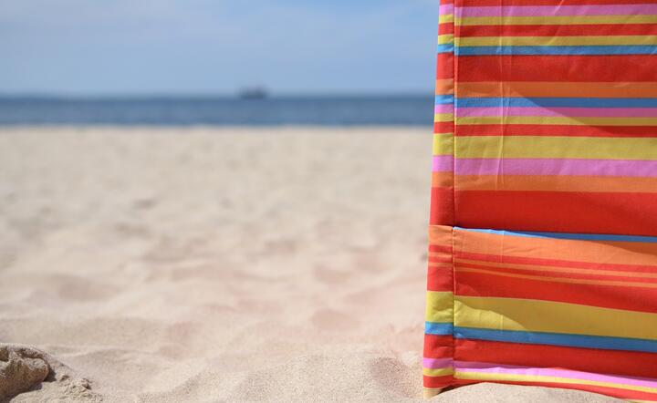 Parawany, zmora polskich plaż, w tym roku są mile widziane / autor: Pixabay