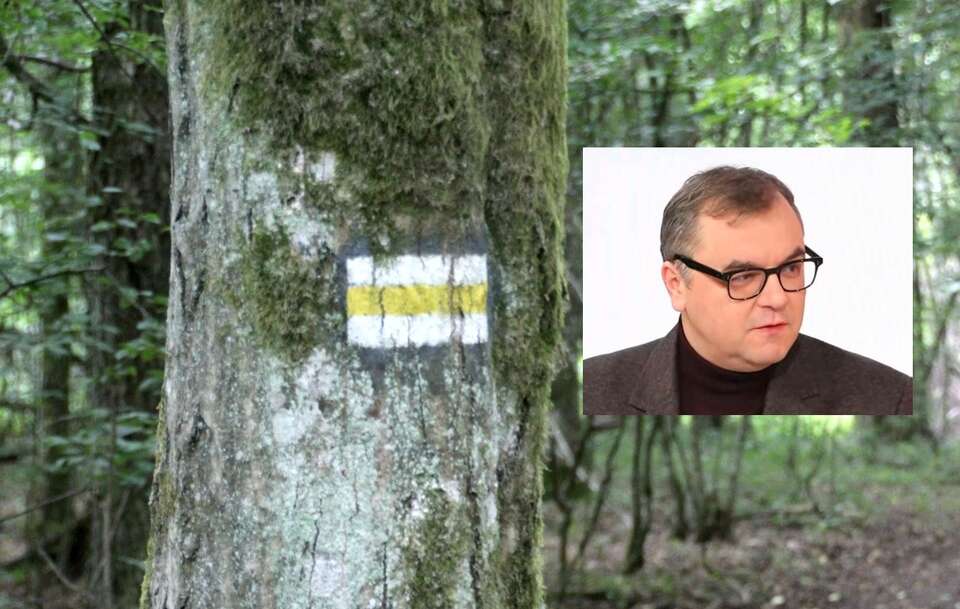 Paweł Sałek ocenił, że przekazanie planu zarządzania Puszczą Białowieską UNESCO to ogromny błąd.  / autor: Fratria/ wPolsce24